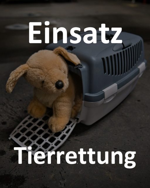 🚨 Nr. 82 🚨
🗓️ 19.07.2026 🗓️
🕖 19:12 🕖
🚒 ELW, HLF, DLK 🚒
📟 Tierrettung 📟
📍 Herzberg📍

Die Feuerwehr wurde zu zwei Vögeln in einer Notlage alarmiert. Die Tiere hatten sich an einer Hauswand in etwa vier bis fünf Metern Höhe verfangen. Zur Rettung wurde die Drehleiter nachgeholt und an der Einsatzstelle in Stellung gebracht. Einer der beiden Vögel war beim Eintreffen bereits verendet. Beide Tiere wurden aus der Notlage befreit und anschließend an einen Nachbarn übergeben.